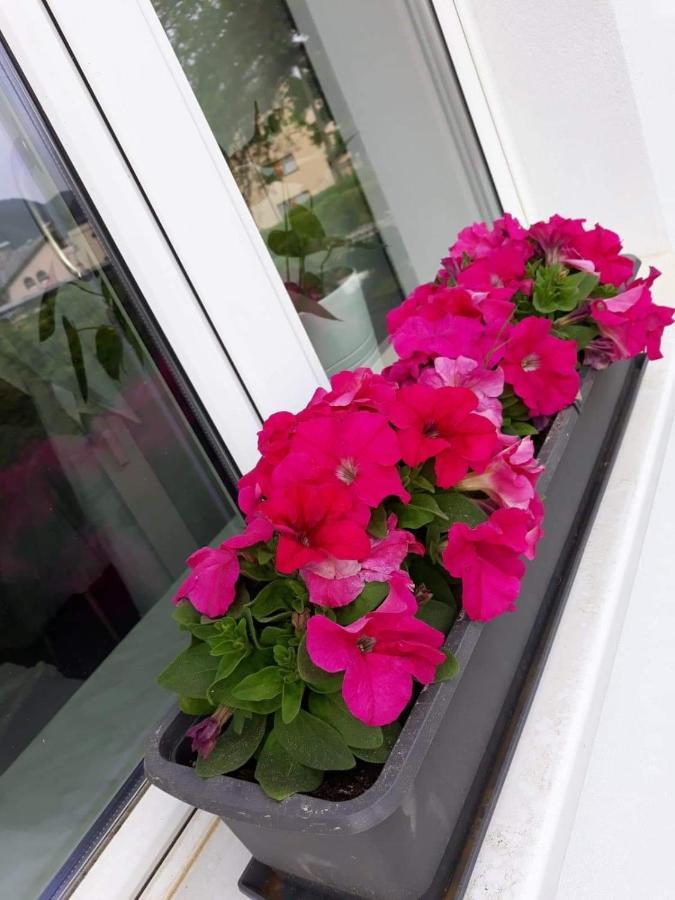 Mistel Apartman Bodensdorf Extérieur photo